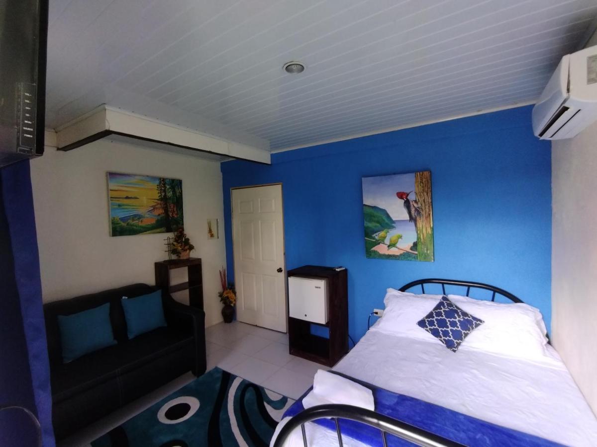 Hospedaje La Galerie Ciudad Cortes Ngoại thất bức ảnh
