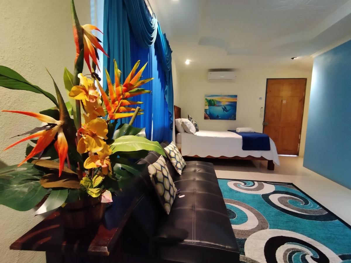 Hospedaje La Galerie Ciudad Cortes Ngoại thất bức ảnh