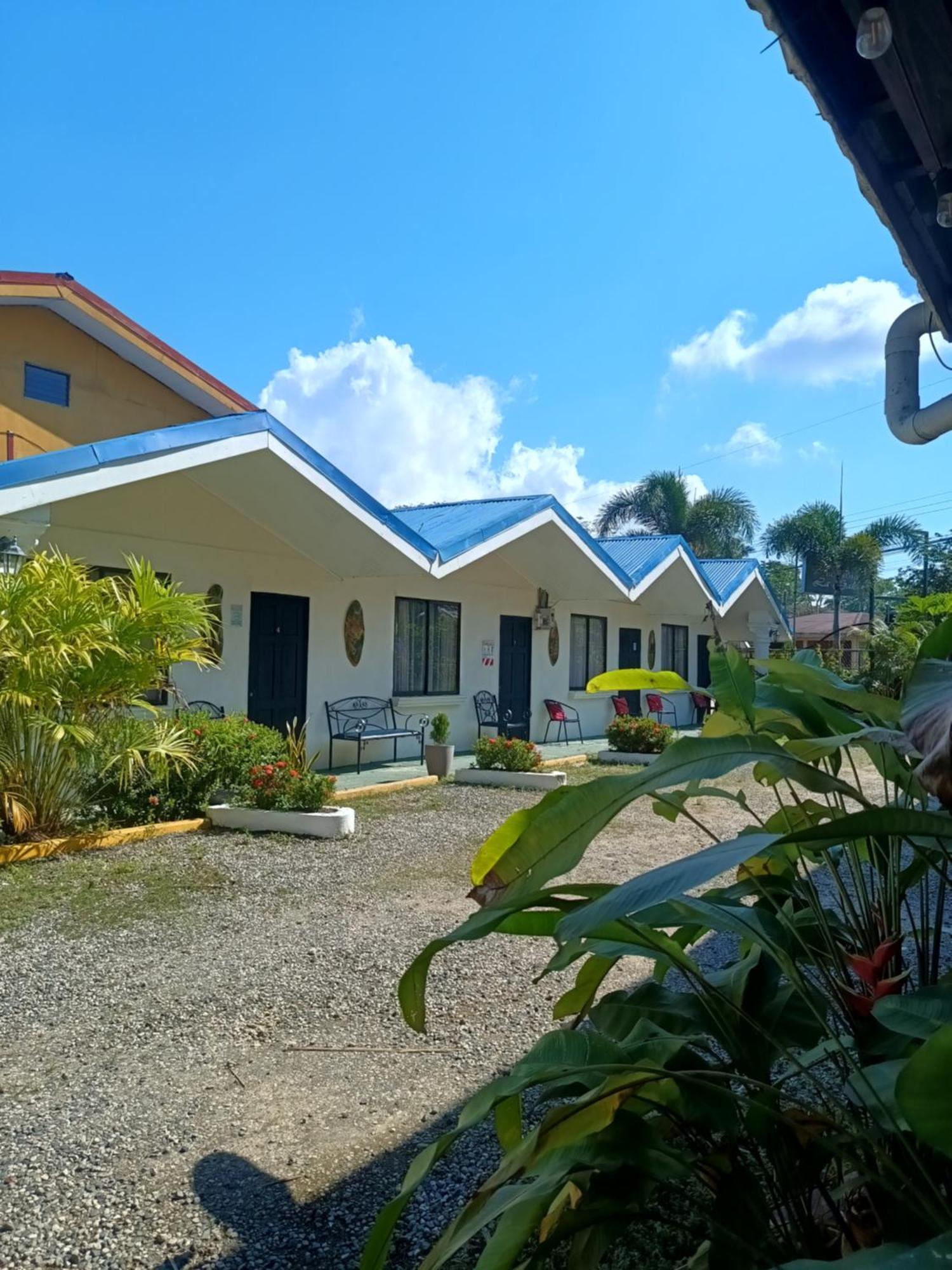 Hospedaje La Galerie Ciudad Cortes Ngoại thất bức ảnh