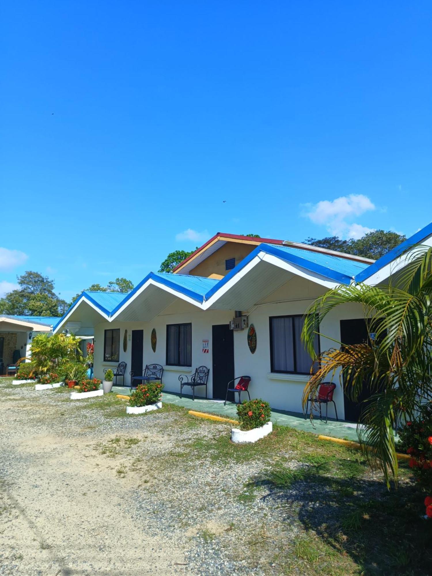 Hospedaje La Galerie Ciudad Cortes Ngoại thất bức ảnh