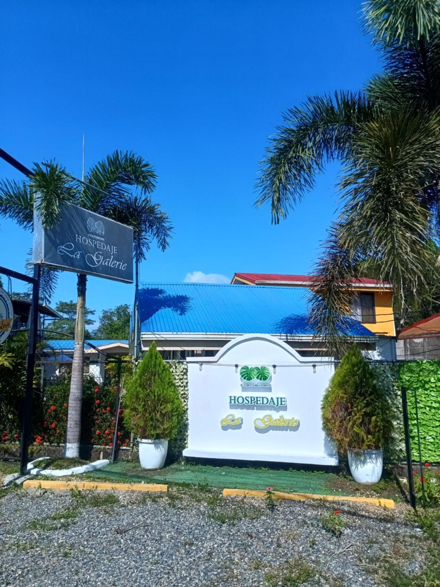 Hospedaje La Galerie Ciudad Cortes Ngoại thất bức ảnh